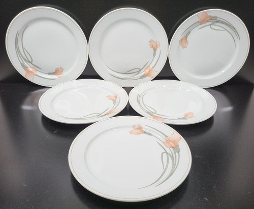 Set piatti schonwald rosa - (6),