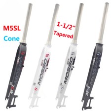 Forcella anteriore conica