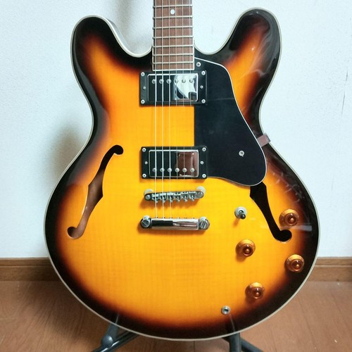 Chitarra elettrica