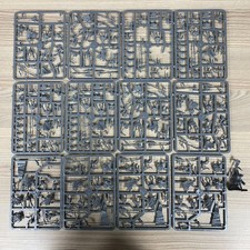 20 Alto Elfo Bianco Leoni Di