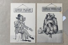 UMORISTICA SCIMMIA-CERCO