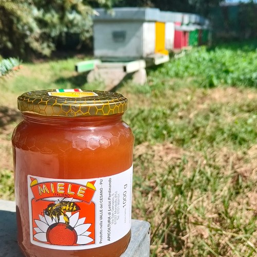 Miele millefiori delle colline - millefiori,