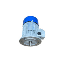 MT Motori Elettrici TN71A/4 B5