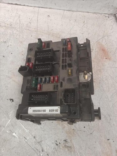 9650664180 centralina bsm