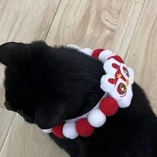 Collare per cuccioli Collare