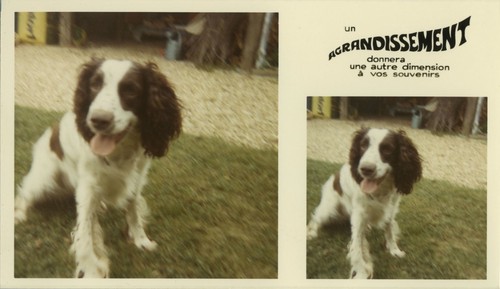 Old photo vintage snapshot - -,
