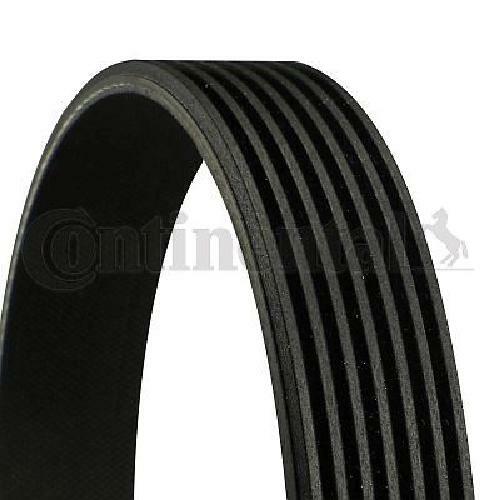Cinghia trapezoidale originale
