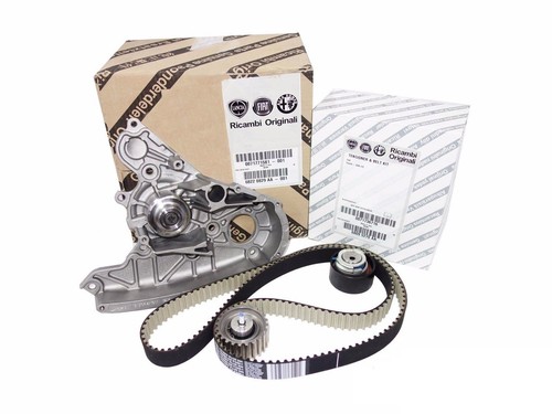 Kit distribuzione pompa - kit, +