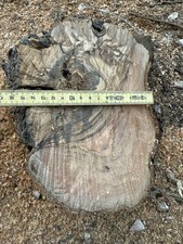 Legno Di Ulivo Pezzo Bellissimo Indicato Per Taglieri Lampadario O Appendi Abiti