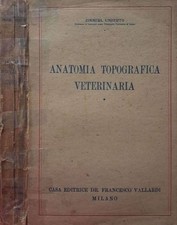 Anatomia topografica