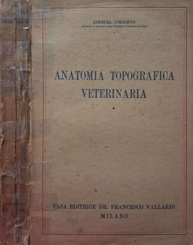 Anatomia topografica