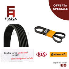 Cinghia Servizi Poly-V
