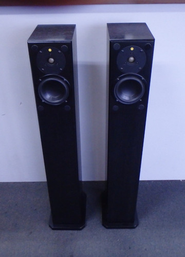 2005 totem acoustic arro - 2005,