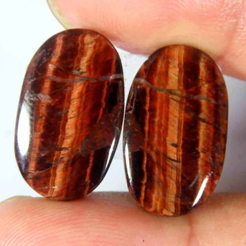 Coppia ovale occhio - di, tigre
