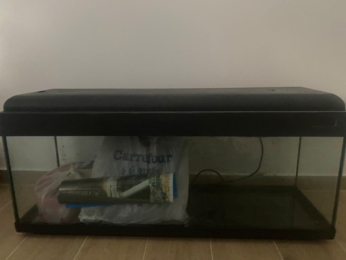 Acquario vuoto vetro - vuoto,