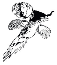 ADESIVO SETTER INGLESE Scolopax Rusticola Hunting Stickers woodcock caccia