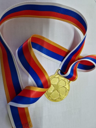 Medaglia champions - medaglia,
