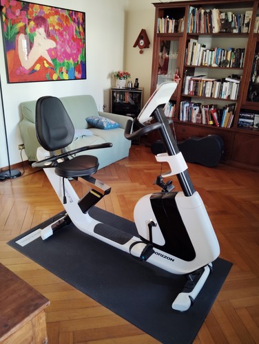 Johnson cyclette usata poco - johnson,