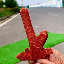 47G Natural Red Soft coral and