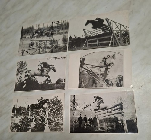 Lotto foto gara ippica - gara,