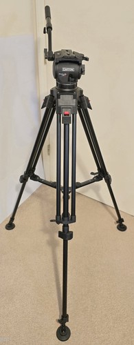 Cartoni focus treppiede - cartoni, hd