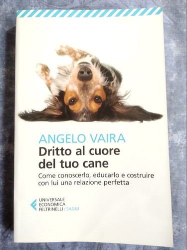 Dritto cuore del tuo - al, cane