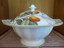 Villeroy & Boch CASCARA grande terrina con coperchio COME NUOVA zuppiera ciotola