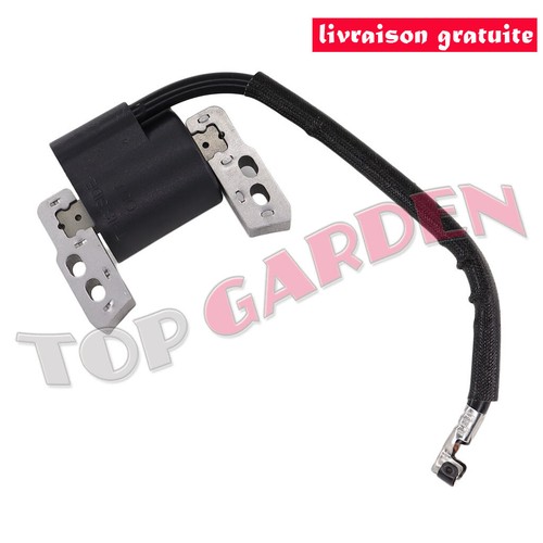Bobine allumage pour - bobine, briggs