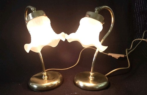 Coppia lampade abatjour