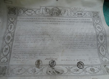 Borbonica-Ferdinando II-Laurea