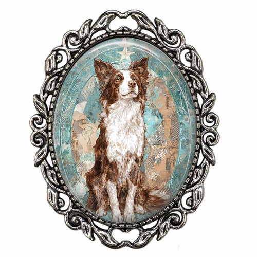 Border collie cucciolo - cucciolo, cane