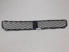 GRIGLIA CENTRALE PARAURTI