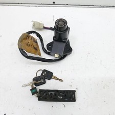 Kawasaki GPZ 1100 Horizon