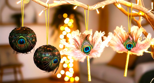 Raro set ornamenti piuma - raro,