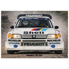 Poster Peugeot T16 Evo -