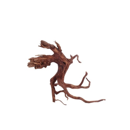 Decorazione radice acquario