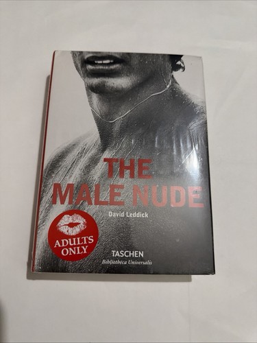 Male nude david - david, hc