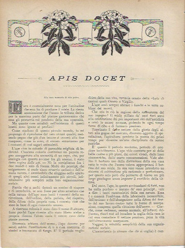 Amedeo cagnola apis docet - -,