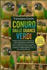 Conuro Dalle Guance Verdi