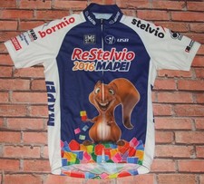 Stelvio mapei santini - re,