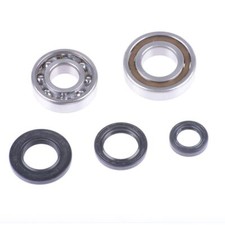 Bearings + oil fender for