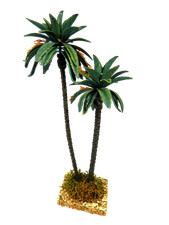 Palma Doppia Cm 18/23 - Oasi Deserto Vegetazione per Presepe
