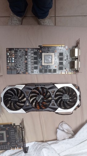 Scheda video gigabyte nvidia - video,