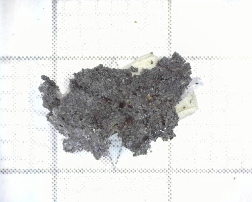 05885 argento acantite - mm,