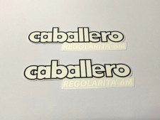 COPPIA ADESIVI FANTIC MOTOR