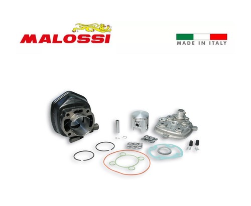 318284 gruppo termico malossi - gruppo,