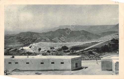 Cartolina tripolitania tripoli - cartolina,