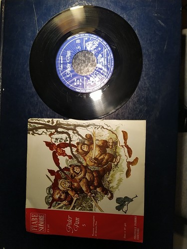 Disco vinile giri - vinile, pan
