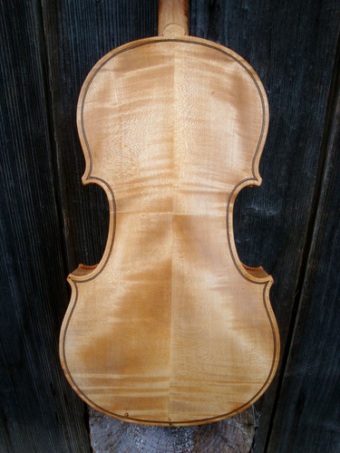 Violino bianco senza - bianco,, vernice