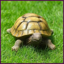 Carino bonsai decorativo